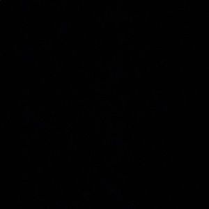 Meet your Posher, Lorianne